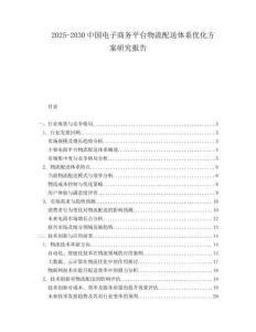 2025-2030中國電子商務平臺物流配送體系優化方案研究報告