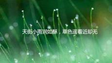 第5課《大自然的語言》課件  統(tǒng)編版語文八年級下冊