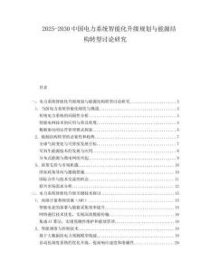 2025-2030中國電力系統智能化升級規劃與能源結構轉型討論研究