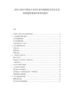 2025-2030中國電子支付行業市場現狀支付安全及投資趨勢規劃分析研究報告