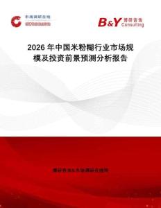 2026年中國米粉糊行業市場規模及投資前景預測分析報告