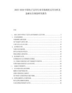 2025-2030中國電子支付行業市場現狀支付分析及金融安全規劃研究報告
