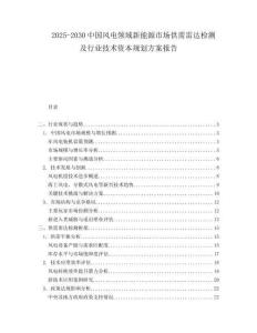 2025-2030中國風電領域新能源市場供需雷達檢測及行業技術資本規劃方案報告