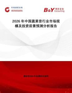 2026年中國蔬菜昔行業市場規模及投資前景預測分析報告