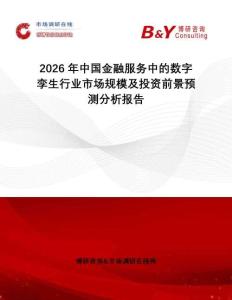2026年中國金融服務中的數字孿生行業市場規模及投資前景預測分析報告