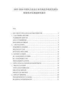 2025-2030中國風力發電行業市場競爭現狀發展分析投資評估規劃研究報告