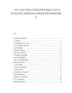 2025-2030中國電子造紙技術研發成就會計競爭分析市場人物行為預算需求未來規劃指導研究特殊結構報告