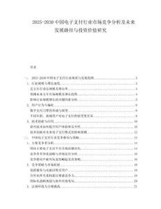 2025-2030中國電子支付行業市場競爭分析及未來發展路徑與投資價值研究