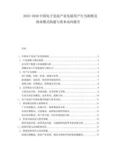 2025-2030中國電子競技產業發展用戶行為洞察及商業模式構建與資本動向報告