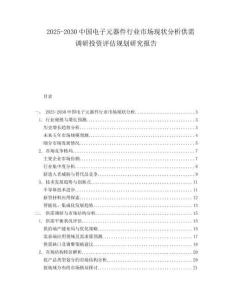 2025-2030中國電子元器件行業(yè)市場現(xiàn)狀分析供需調(diào)研投資評估規(guī)劃研究報(bào)告