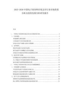 2025-2030中國(guó)電子商務(wù)和在線支付行業(yè)市場(chǎng)供需分析及投資發(fā)展分析研究報(bào)告