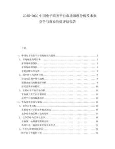 2025-2030中國電子商務平臺市場深度分析及未來競爭與商業價值評估報告