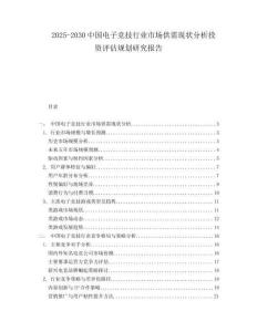 2025-2030中國電子競技行業市場供需現狀分析投資評估規劃研究報告