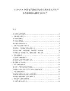 2025-2030中國電子消費品行業市場深度試探及產品革新和資金增長分析報告