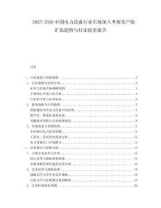 2025-2030中國電力設備行業市場深入考察及產能擴張趨勢與行業前景報告
