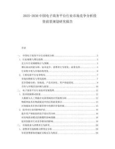 2025-2030中國電子商務平臺行業市場競爭分析投資前景規劃研究報告