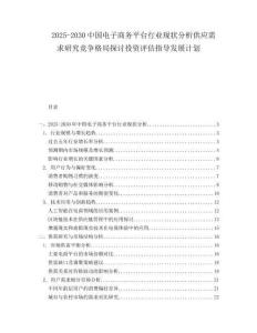 2025-2030中國電子商務平臺行業現狀分析供應需求研究競爭格局探討投資評估指導發展計劃