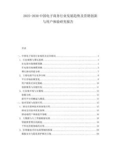 2025-2030中國電子商務行業發展趨勢及營銷創新與用戶體驗研究報告