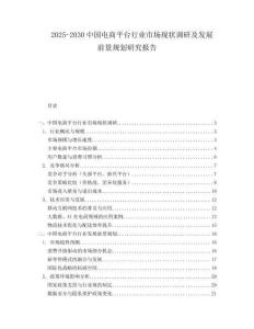2025-2030中國電商平臺行業市場現狀調研及發展前景規劃研究報告