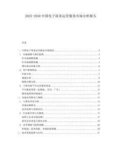 2025-2030中國電子商務運營服務市場分析報告