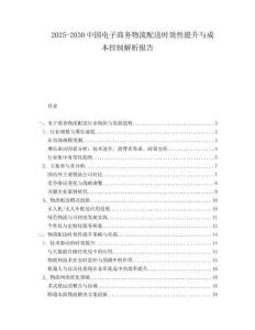 2025-2030中國電子商務物流配送時效性提升與成本控制解析報告