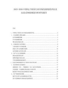 2025-2030中國電子商務行業市場發展現狀評估及沉浸式體驗規劃分析研究報告