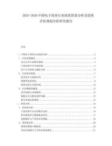 2025-2030中國(guó)電子商務(wù)行業(yè)現(xiàn)狀供需分析及投資評(píng)估規(guī)劃分析研究報(bào)告