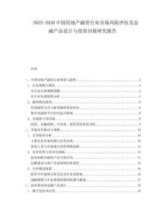 2025-2030中國房地產融資行業市場風險評估及金融產品設計與投資回報研究報告