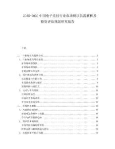 2025-2030中國電子競技行業市場現狀供需解析及投資評估規劃研究報告