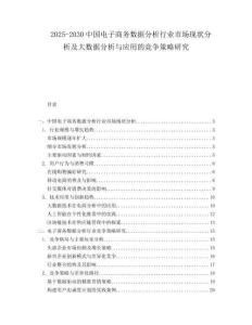 2025-2030中國電子商務數據分析行業市場現狀分析及大數據分析與應用的競爭策略研究