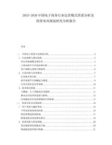 2025-2030中國電子商務行業運營模式供需分析及投資布局規劃研究分析報告