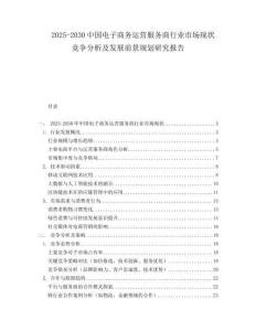 2025-2030中國電子商務運營服務商行業市場現狀競爭分析及發展前景規劃研究報告