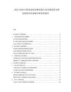 2025-2030中國多晶硅拉棒設備行業(yè)市場供需分析及投資評估規(guī)劃分析研究報告