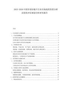 2025-2030中國(guó)非諾拉敏片行業(yè)市場(chǎng)現(xiàn)狀供需分析及投資評(píng)估規(guī)劃分析研究報(bào)告
