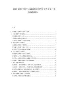2025-2030中國電力設備行業深度分析及前景與投資規劃報告