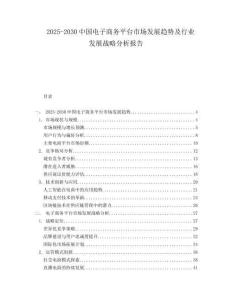 2025-2030中國電子商務平臺市場發展趨勢及行業發展戰略分析報告