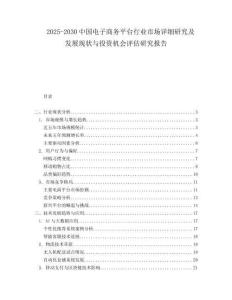 2025-2030中國電子商務平臺行業市場詳細研究及發展現狀與投資機會評估研究報告