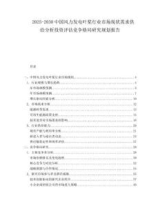 2025-2030中國風(fēng)力發(fā)電葉槳行業(yè)市場現(xiàn)狀需求供給分析投資評估競爭格局研究規(guī)劃報告