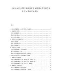 2025-2030中國法律服務行業互聯網化研究遠程辯護司法效率評估報告