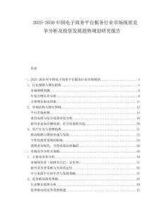2025-2030中國電子商務平臺服務行業市場現狀競爭分析及投資發展趨勢規劃研究報告