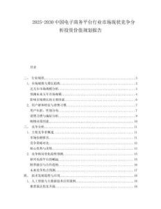2025-2030中國電子商務平臺行業市場現狀競爭分析投資價值規劃報告