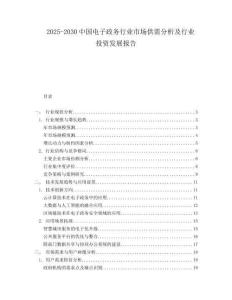2025-2030中國(guó)電子政務(wù)行業(yè)市場(chǎng)供需分析及行業(yè)投資發(fā)展報(bào)告