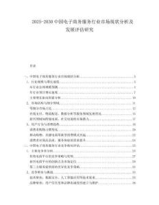 2025-2030中國電子商務服務行業市場現狀分析及發展評估研究