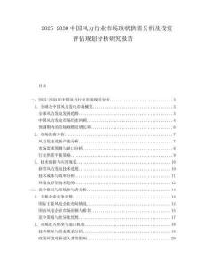2025-2030中國風力行業市場現狀供需分析及投資評估規劃分析研究報告