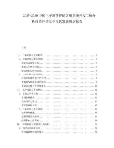 2025-2030中國電子商務智能客服系統開發市場分析投資評估競爭現狀發展規劃報告