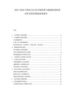 2025-2030中國電力行業(yè)市場(chǎng)供需與能源結(jié)構(gòu)轉(zhuǎn)型分析及投資規(guī)劃深度報(bào)告