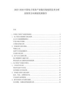 2025-2030中國電子商務產業鏈市場現狀技術分析及投資方向規劃發展報告