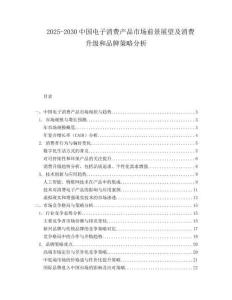 2025-2030中國電子消費產品市場前景展望及消費升級和品牌策略分析