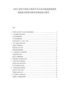 2025-2030中國電子商務平臺行業市場發展現狀供需探索及投資風險評估規劃設計報告