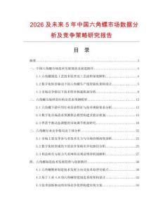 2026及未來5年中國六角螺市場數(shù)據(jù)分析及競爭策略研究報(bào)告